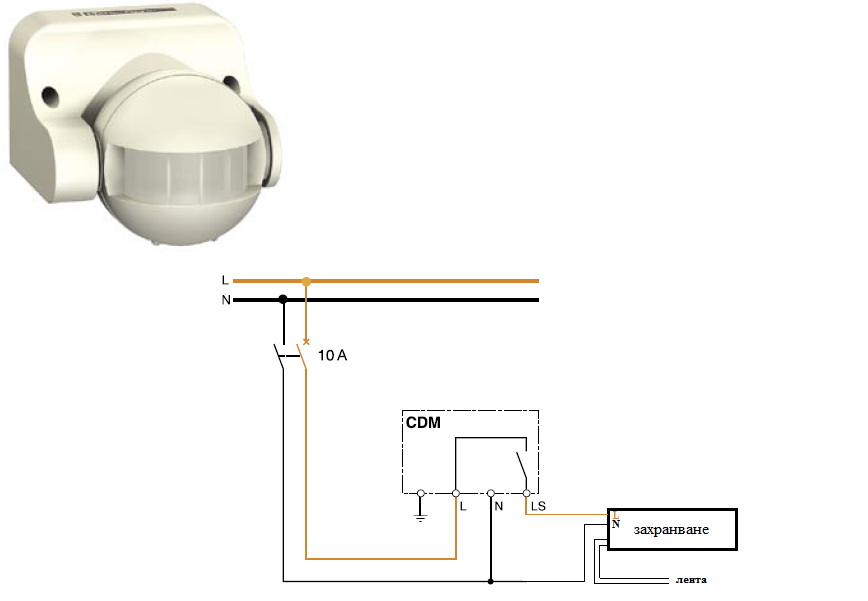detector.png