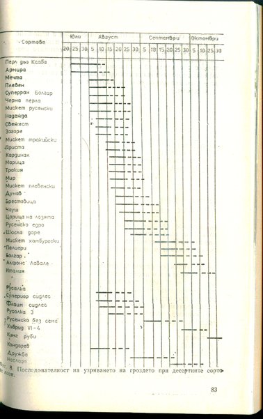 rsz_1image11.jpg