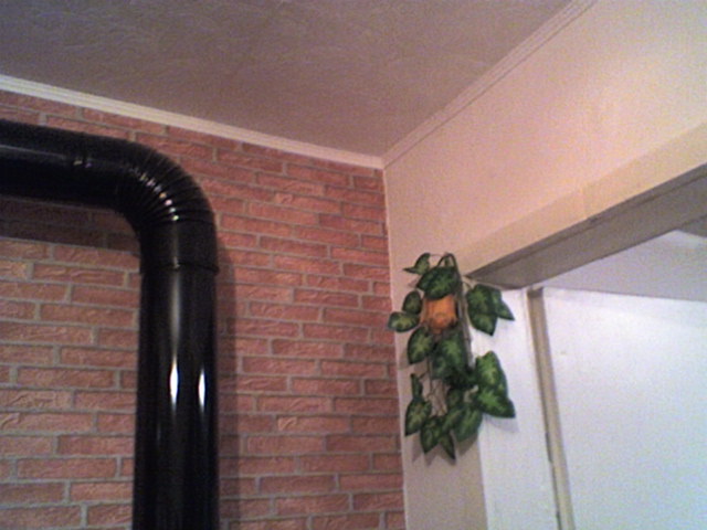 SP_A0725.jpg