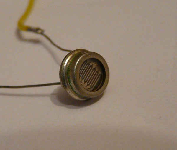 P1120553.jpg