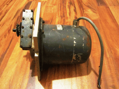 IMG_1495.gif