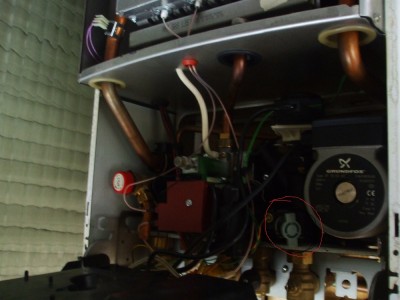 DSCF8260.JPG