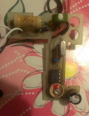 IMAG0345.jpg