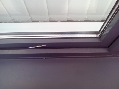 IMG_20131221_112958.jpg