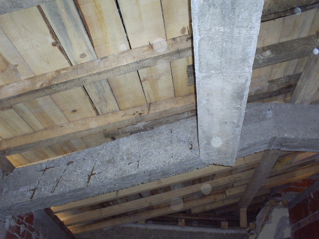 S4030514.JPG