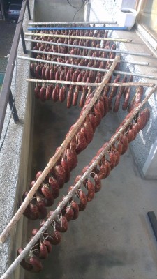 IMAG0368.jpg