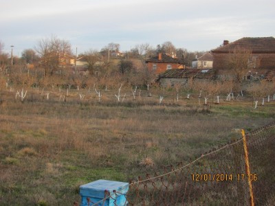 Picture 2739-1.jpg