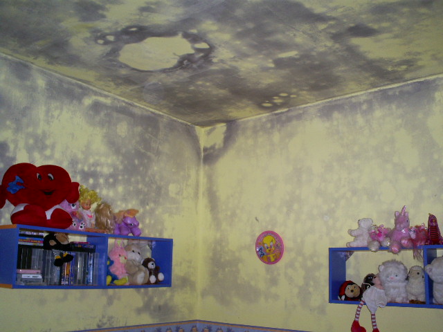 S5030074.JPG