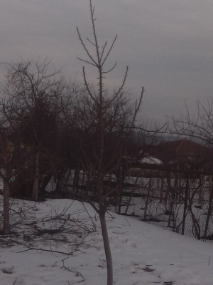 IMG_20140212_163832.jpg