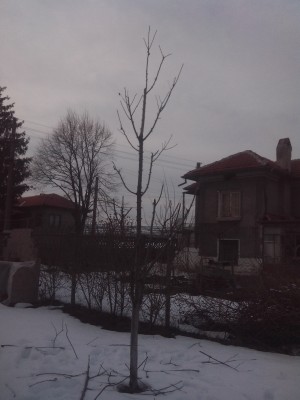 IMG_20140212_163934.jpg