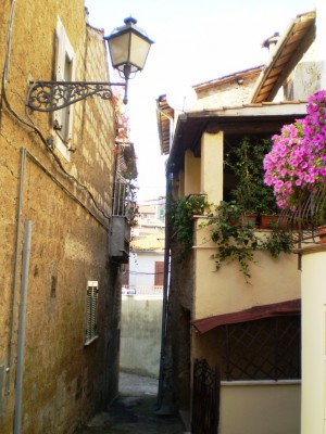 PA110326.JPG