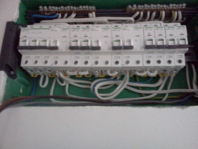IMG2953.jpg