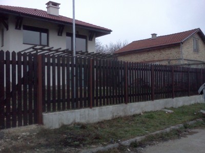 IMG2954.jpg