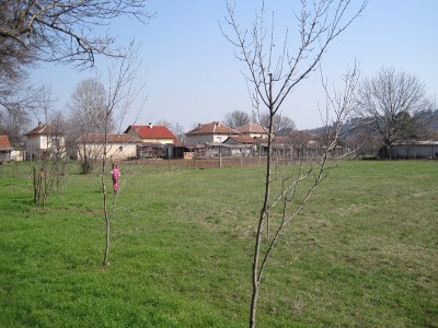 IMG_2187.JPG