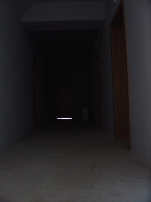 009.JPG