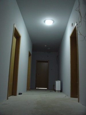 010.JPG
