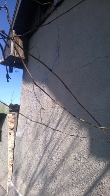 WP_20140317_001.jpg