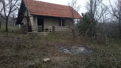 WP_20140219_007.jpg