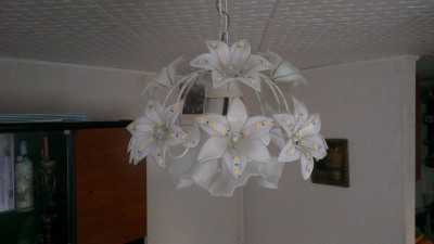 IMAG0113.jpg