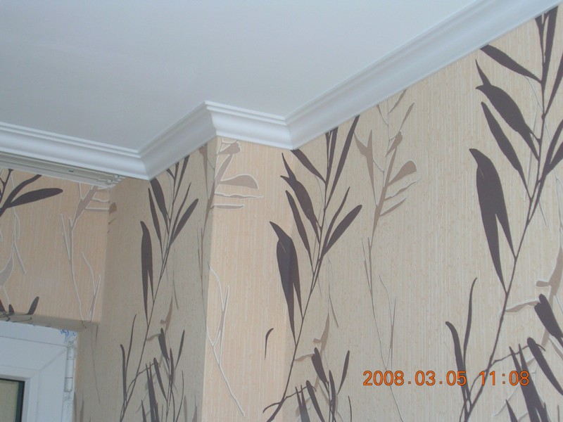 DSCN1685.JPG