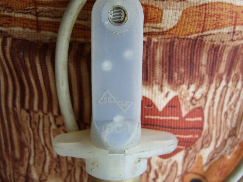 SS855794.JPG