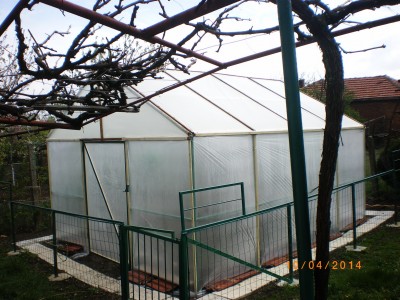 IMGP1276.jpg