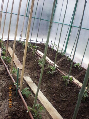 IMGP1277.jpg
