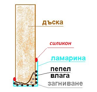 загниване.JPG