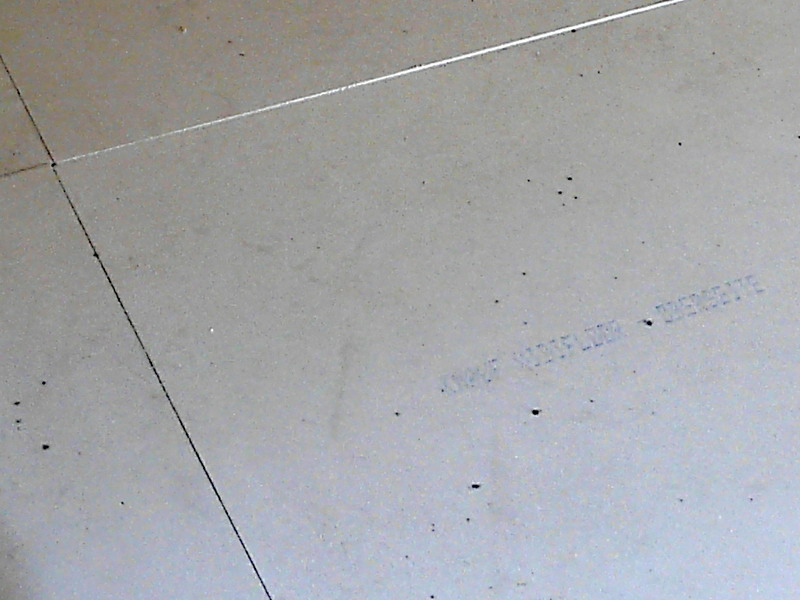 P1030913-1.jpg