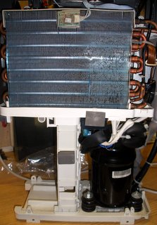 1-DSCF8289.JPG