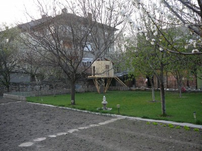 1 (21).JPG
