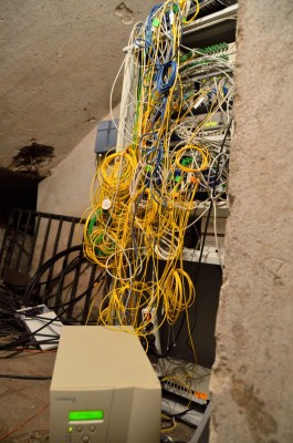 DSC_2667.JPG