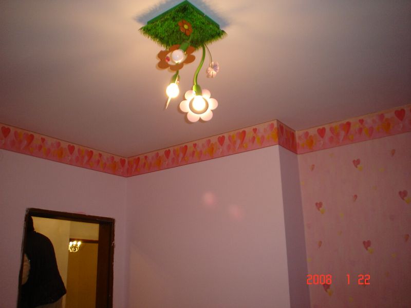 DSC02848.jpg