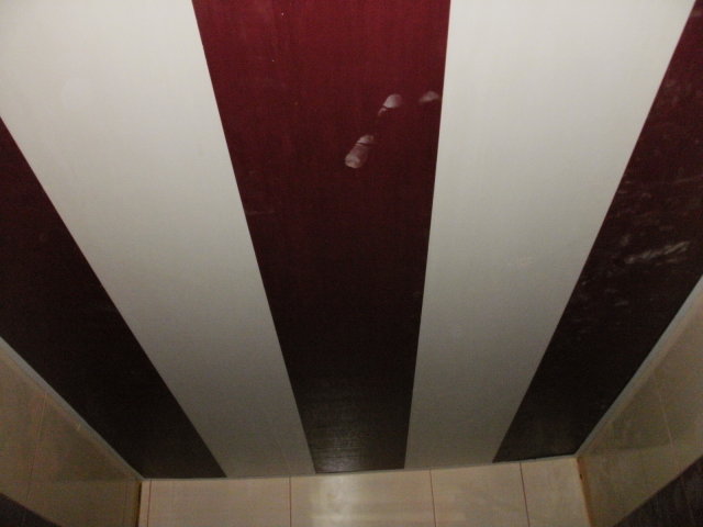 024231550.jpg