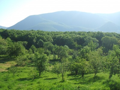DSCF2526.JPG