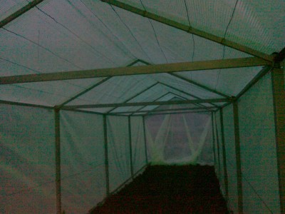 01062014413.jpg