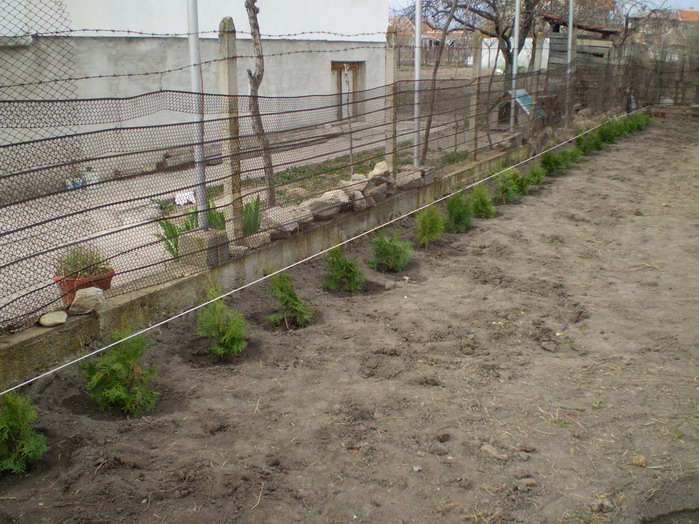 P3120073.jpg