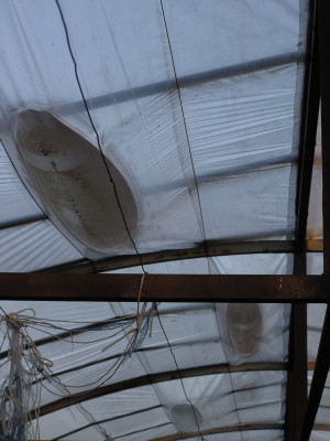 P1010002_2.JPG
