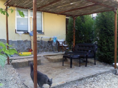 DSC0000170.jpg