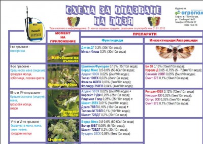 loe 1..JPG