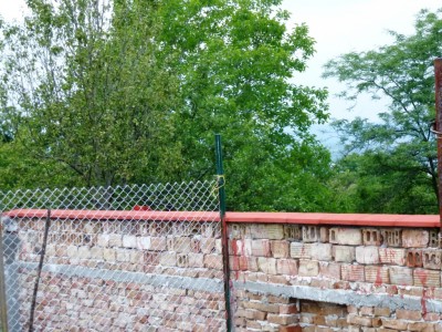 P1000732.JPG