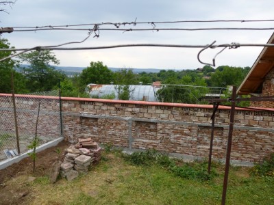 P1000730.JPG