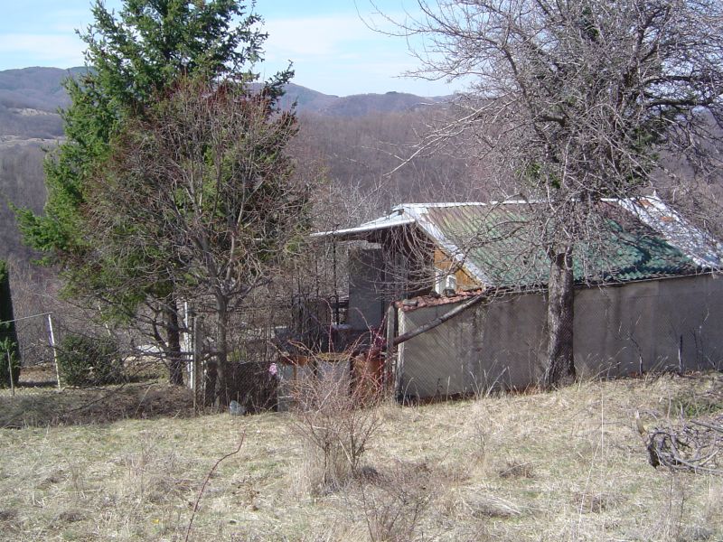 DSC03287a.jpg