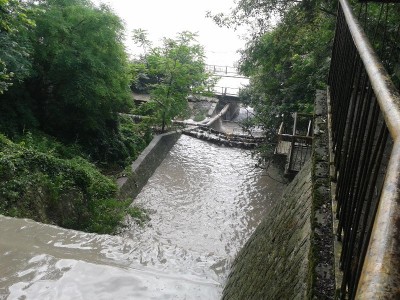 20140619_110233.jpg