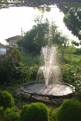 DSC_0012.jpg