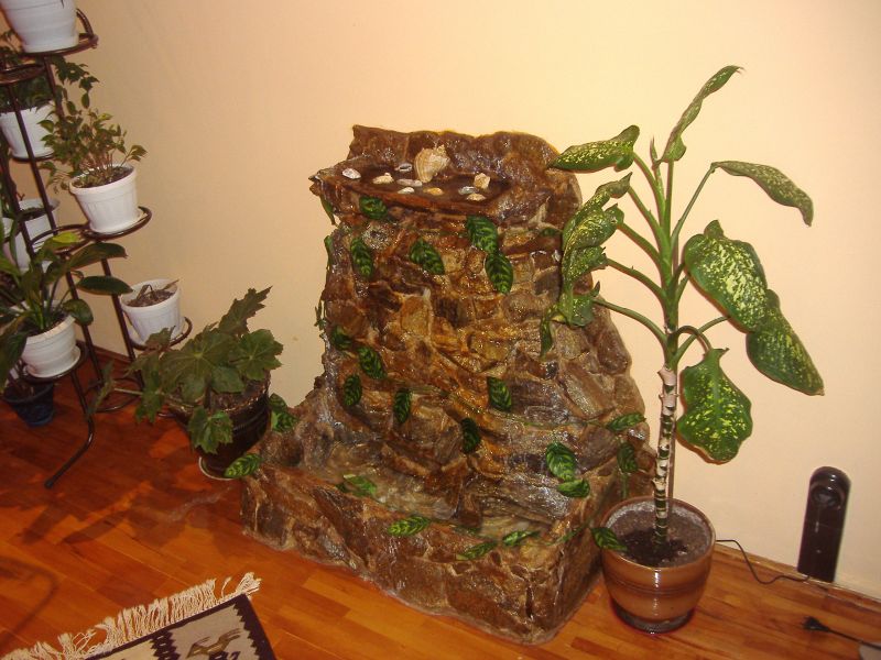 Picture 015.jpg