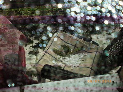 IMGP1334.jpg