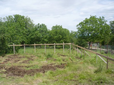 P1060069.JPG