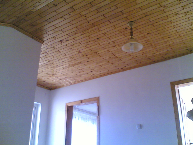 04032007(005).jpg