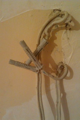 IMAG0431.jpg